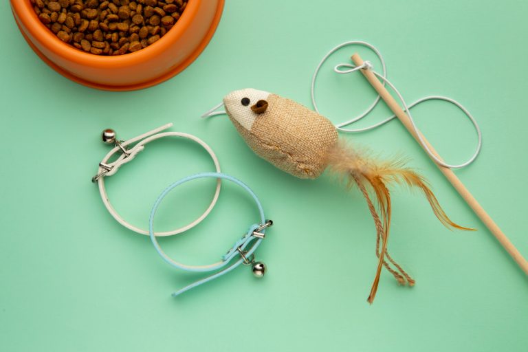 evde yapabileceğiniz kedi oyuncakları